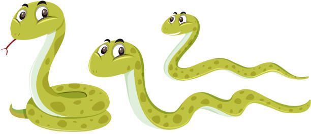 illustrations, cliparts, dessins animés et icônes de serpent avec position différente - snake