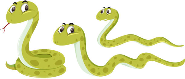 wąż o innej pozycji - snake stock illustrations