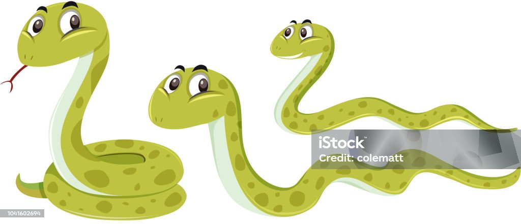 Snake with different position Snake with different position illustration Snake stock vector