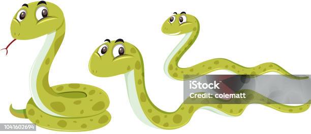 Snake With Different Position Stock Illustration - Download Image Now - Snake, Cartoon, Vector