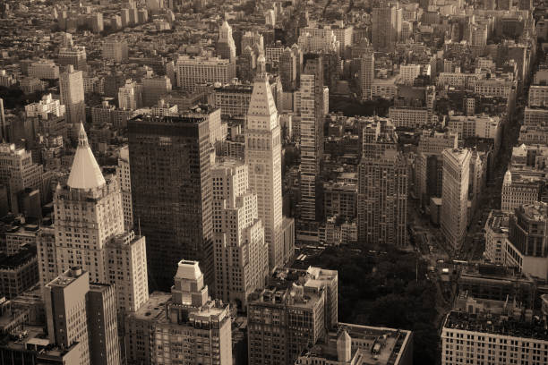 New York City New York City rooftop view with downtown Manhattan skyscrapers and urban cityscape. new york life building stock pictures, royalty-free photos & images