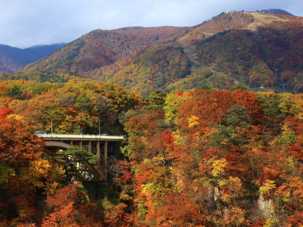 istock Autumn leaves valley 1041619766
