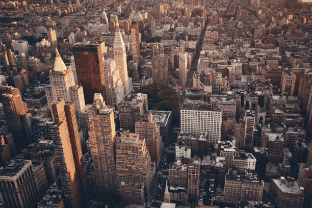 New York City New York City rooftop view with downtown Manhattan skyscrapers and urban cityscape. new york life building stock pictures, royalty-free photos & images