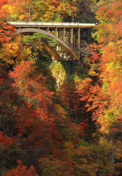 istock Autumn leaves valley 1041624026