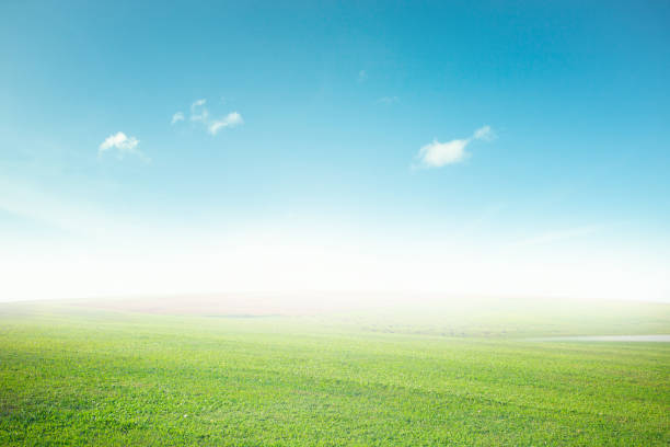 Natural background Natural background sky and grassland. Lea stock pictures, royalty-free photos & images