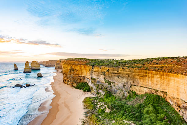 great ocean road - otway national park imagens e fotografias de stock