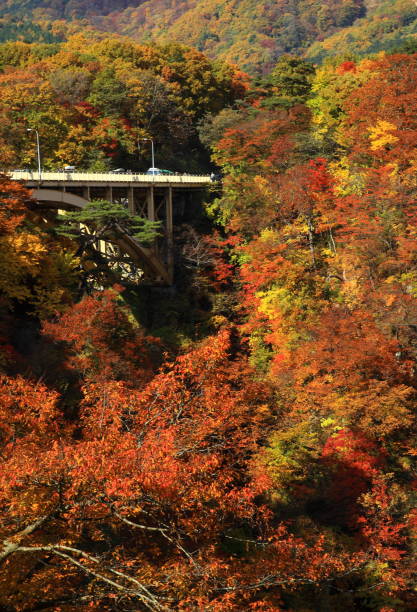 istock Autumn leaves valley 1041630806