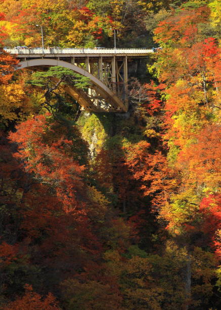 istock Autumn leaves valley 1041630874