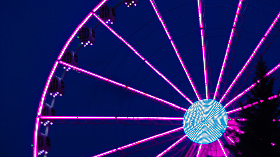 Pinklight ferris wheel on a dark blue background and with a tree in the front of, in the central attraction park of Saint-Petersburg