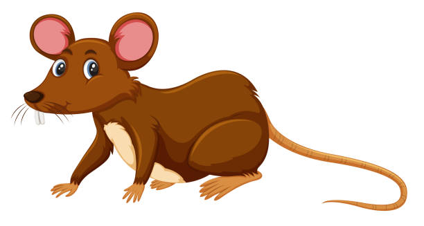 Um rato no fundo branco - ilustração de arte em vetor