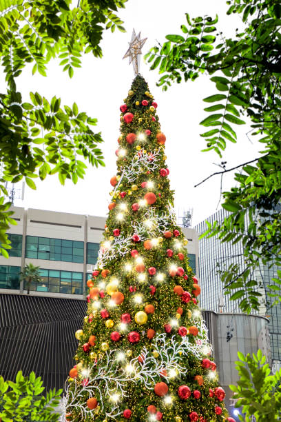 istock Decorated outdoor shiny Christmas tree with lights at night 1041645200