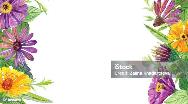 Bunga Horizontal Bingkai Horizontal Dengan Bunga Ilustrasi Stok - Unduh Gambar Sekarang ...