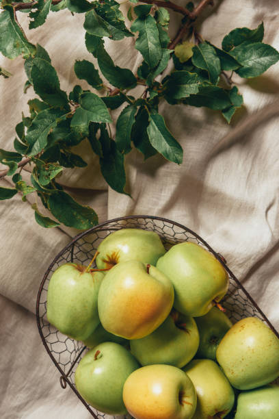 istock green apples in metal basket with apple tree leaves on sacking cloth 1041648800