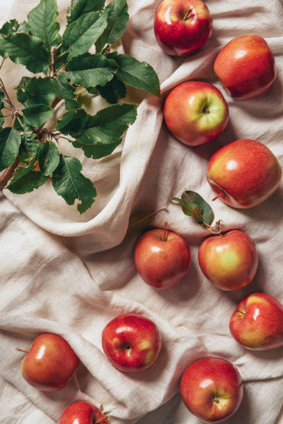 istock top view of freshness apples with apple tree leaves on sacking cloth 1041648806