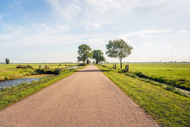 paisaje típico pólder holandés en la región holandesa alblasserwaard - alblasserwaard fotografías e imágenes de stock