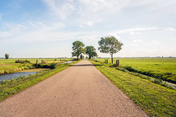 typical dutch polder landscape in the dutch region alblasserwaard - alblasserwaard imagens e fotografias de stock