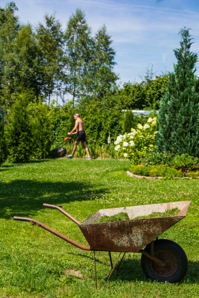 istock the man mows the lawn 1041657222
