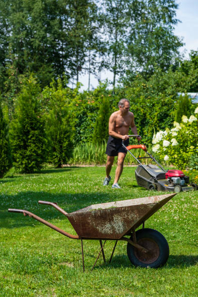 istock the man mows the lawn 1041657234