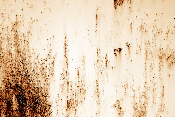 istock Grungy rusted metal surface in orange tone. 1041663704