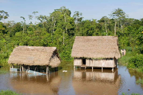istock Peru, South America. Amazon village. Typical indian tribes settlement in Amazon. 1041663878