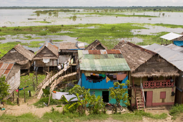 istock Amazonas village. Typical indian tribes settlement on the edge of amazon river. 1041667288