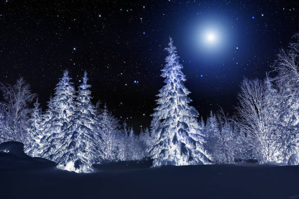 istock Moon over winter forest. Winter night landscape. Spruce forest in winter 1041674790
