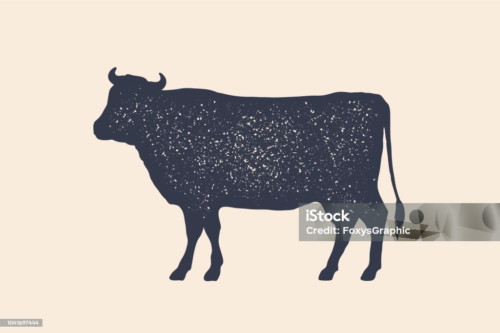 Beef, cow. Poster for Butchery meat shop Beef, cow. Vintage logo, retro print, poster for Butchery meat shop, cow silhouette. Logo template for meat business, meat shop. Vector Illustration Domestic Cattle stock vector