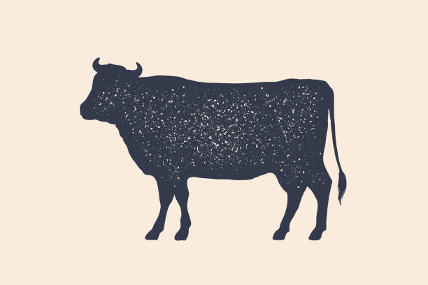 Beef, cow. Poster for Butchery meat shop Beef, cow. Vintage logo, retro print, poster for Butchery meat shop, cow silhouette. Logo template for meat business, meat shop. Vector Illustration cattle illustrations stock illustrations