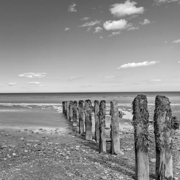 istock Wooden breakwater posts on a beach. 1041708358