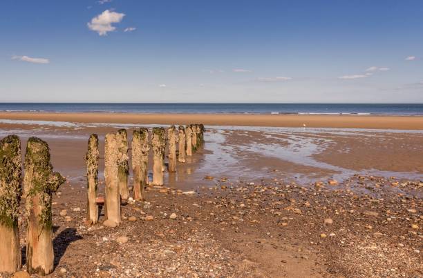 istock Wooden breakwater posts on a beach. 1041708476