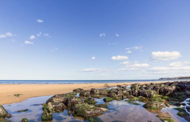 piscina di roccia sulla spiaggia di sandsend. - scenics coastline uk moss foto e immagini stock