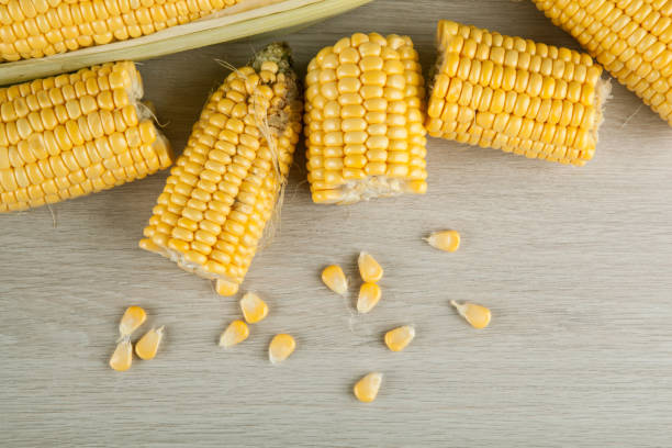 istock fresh fruits of maize on the table top view 1041709152