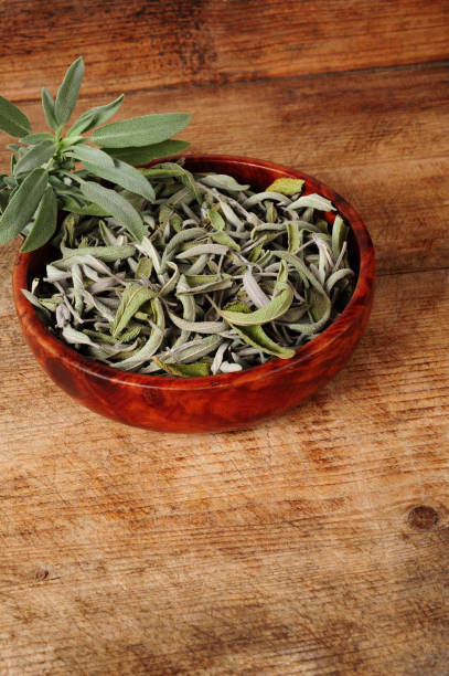 istock dried and fresh sage in wooden bowl 1041709728