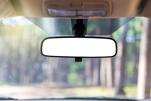 closeup care rear view mirror with forest background