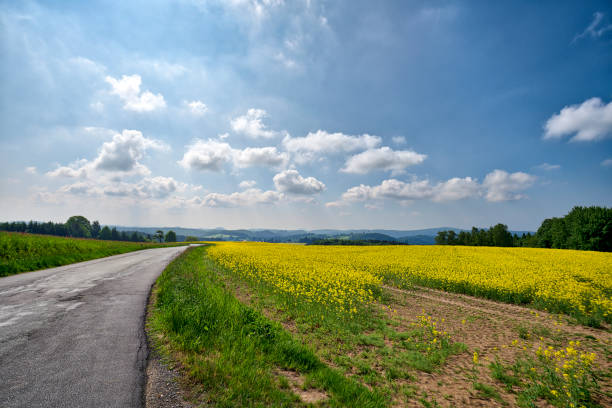 istock beautiful landscape with fields and mountains in summer 1041725376