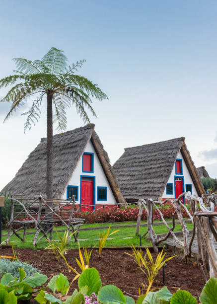 maisons typiques de la ville de santana, l’île de madère. - madeira funchal house cottage photos et images de collection