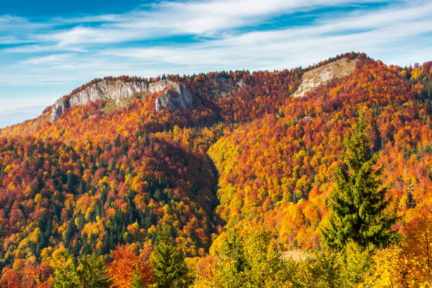Pietrele Negre rock formation in Arieseni. gorgeous location of Apuseni Natural Park in Romania