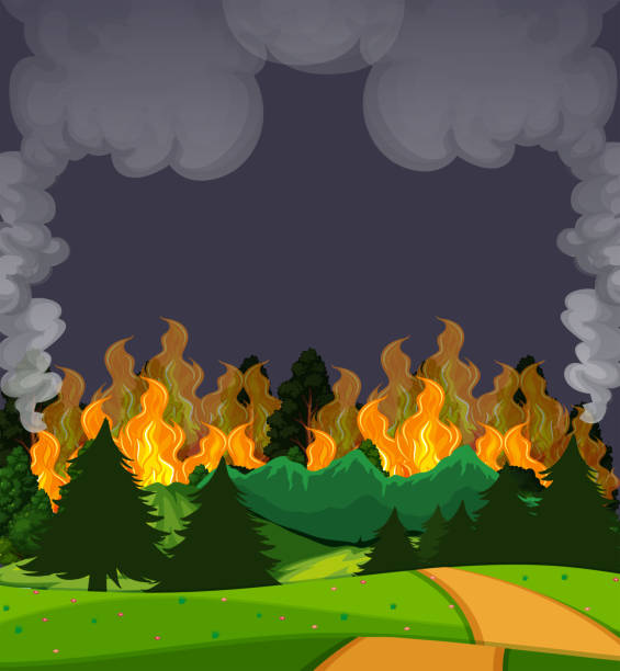 ilustraciones, imágenes clip art, dibujos animados e iconos de stock de una escena del bosque de incendios forestales en la noche - wildfire smoke