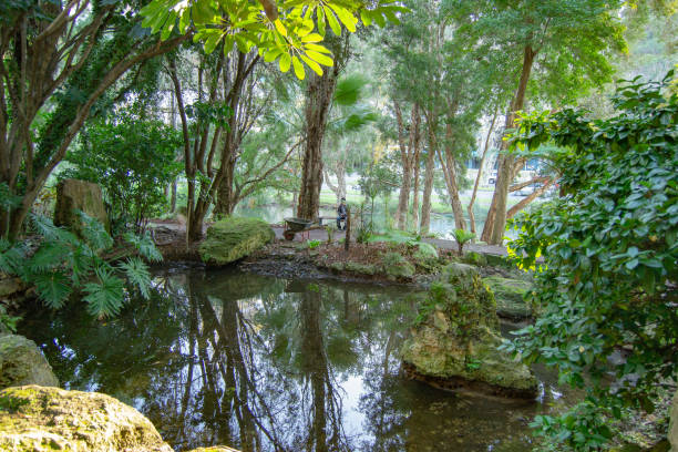 istock Nature on the city 1041751542