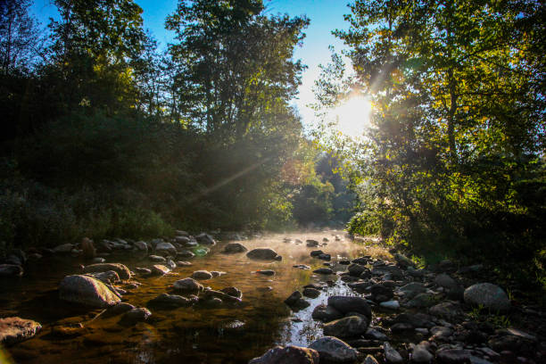 istock Morning by the river 1041756350