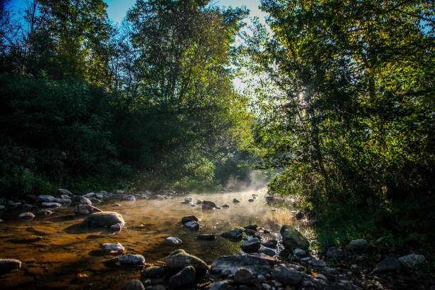 istock Morning by the river 1041758576