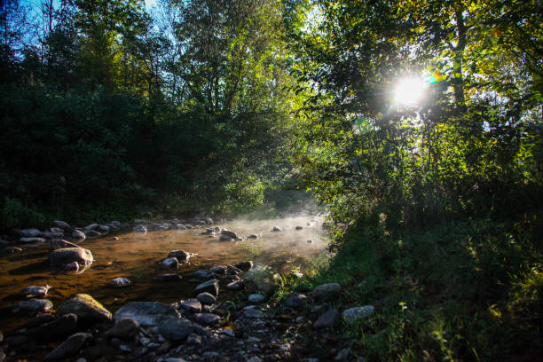 istock Morning by the river 1041758602