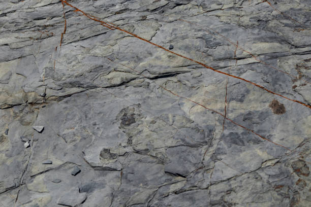 istock close up rocks in nature 1041763532