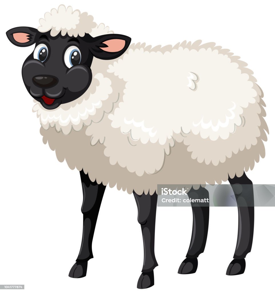 Cute Black And White Sheep Stock Illustration - Download Image Now - Cartoon,  Sheep, Agriculture - iStock