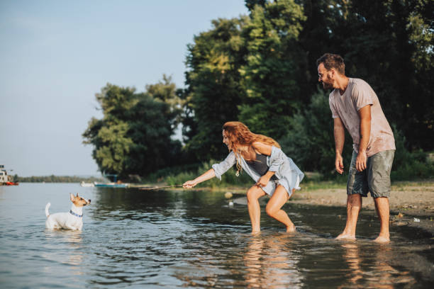 istock Having a pet is an indescribable joy 1041778656