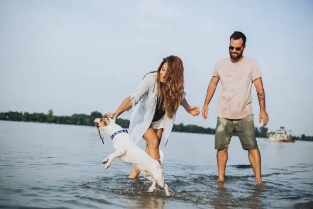 Photo of They're having fun playing with a dog on the bank of the river