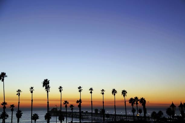 istock Silhouette Palm Trees On Beach Against Clear Sky During Sunset 1041779650