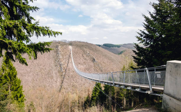 istock The Geierlay - suspension bridge in the low mountain range 1041790148