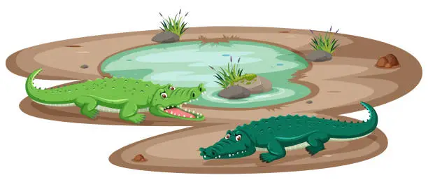 Vector illustration of Crocodile at the pond