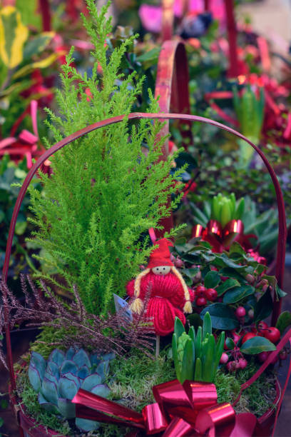 istock Magic fairy is a good Christmas gift. 1041790344